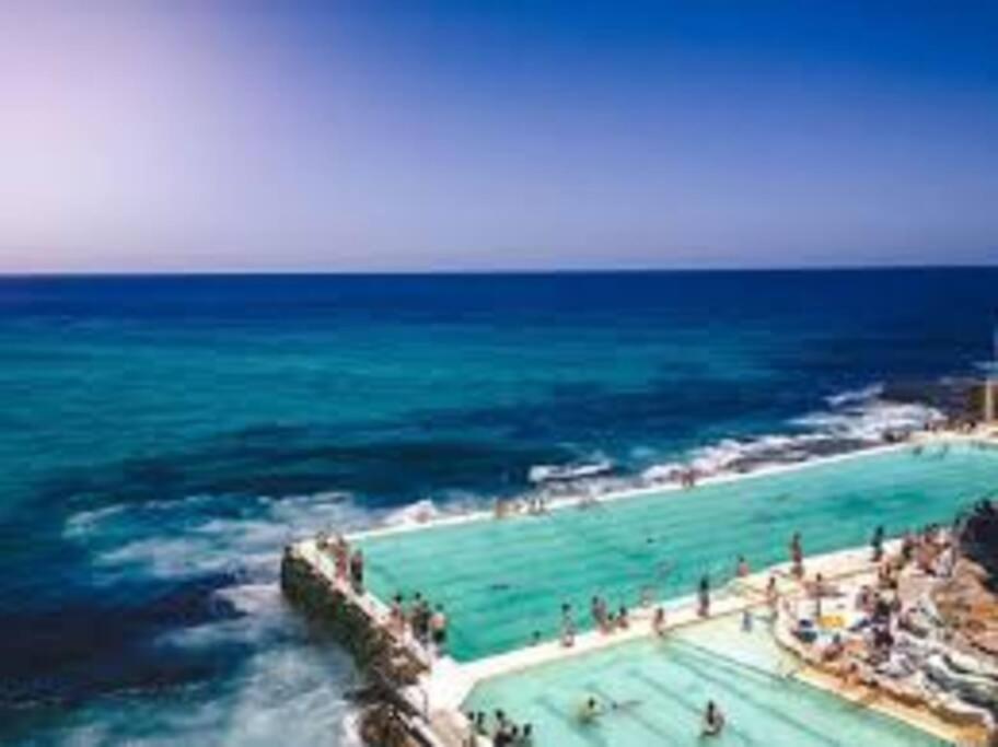 Beach To Home In 3 Minutes: Bondi N Sidney Dış mekan fotoğraf